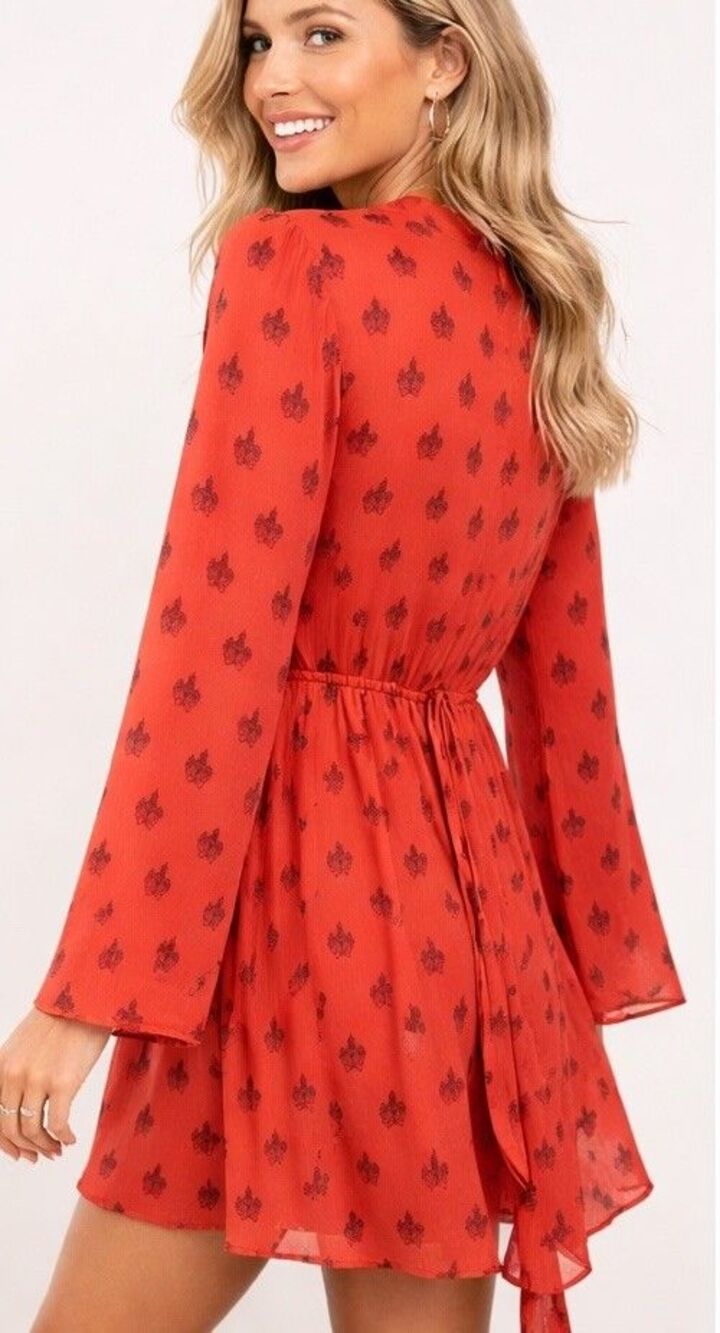 BB Dakota L Orange Rust Printed Long Sleeve Chiffon Mini Dress Tie Waist Lined B